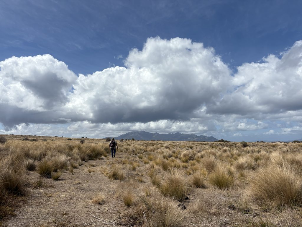 Treaty is our right - News image